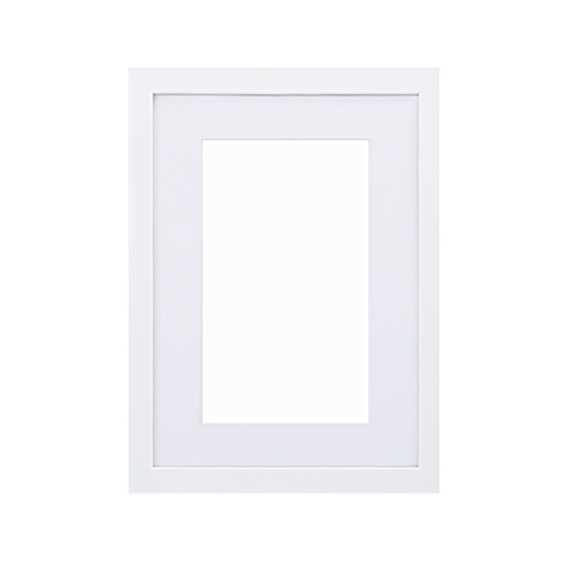 Alegart matte paper framed poster with mat