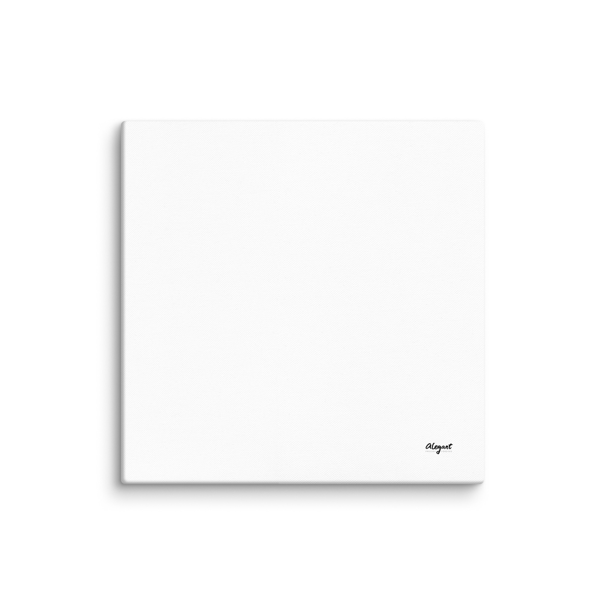 canvas-in-30x30-wall-68b7347a5036b.jpg
