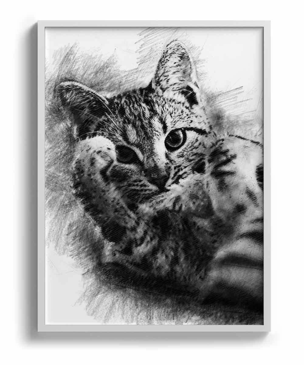 Alegart art styles • Pencil sketch
